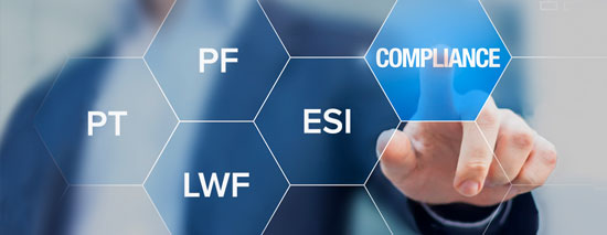 Payroll Management Support